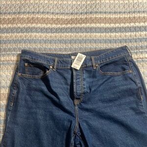 Torrid Relaxed Fit Denim Jeans in Classic Blue